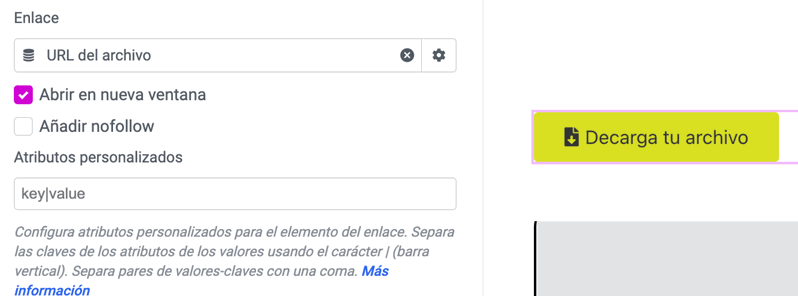 Botón de descarga de archivos con dynamic tags