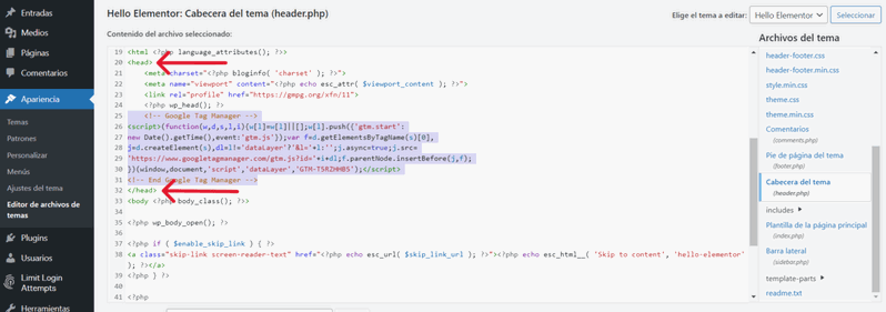 Código head de Google Tag Manager en WordPress