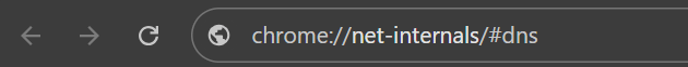 Borrar caché DNS con chrome://net-internals/#dns
