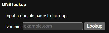 Input a domain name to look up desde Chrome con caché DNS