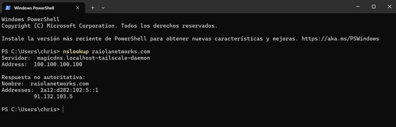 consulta nslookup 