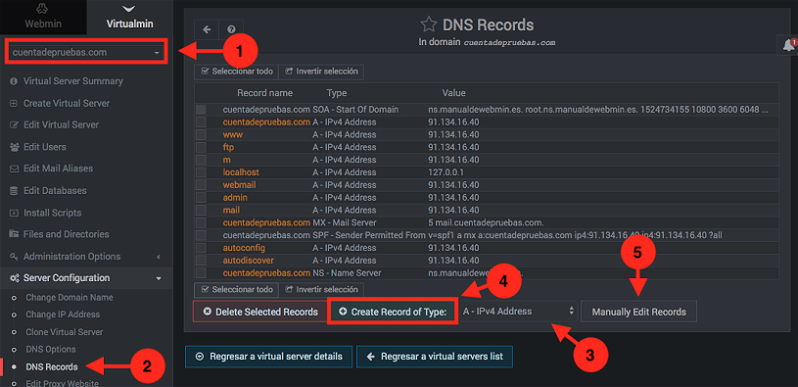 Como configurar los registros DNs en virtualmin