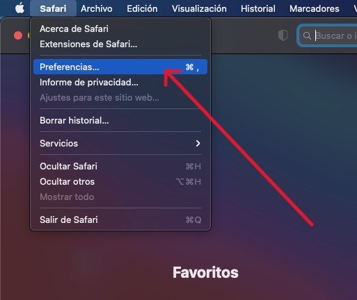 Configuración de cache en safari