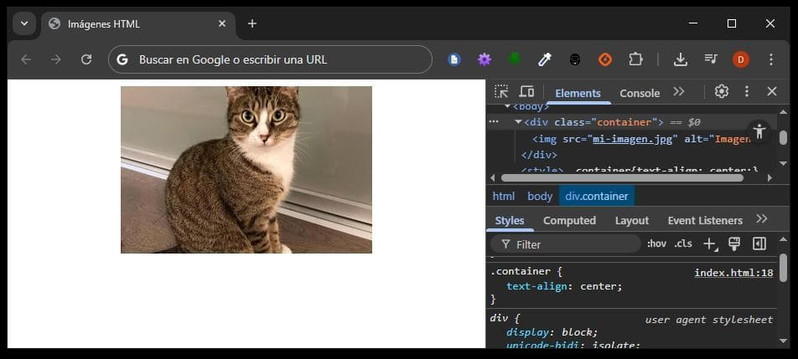 Imagen centrada con text-align