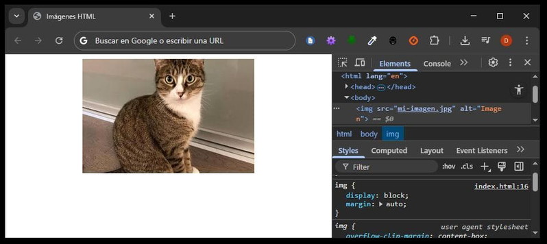 Imagen centrada con display y margin