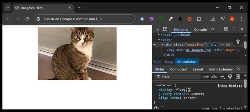 Imagen centrada con flex
