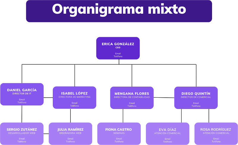 Organigrama mixto