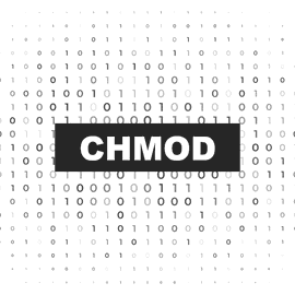 Permisos CHMOD de archivos y carpetas para WordPress