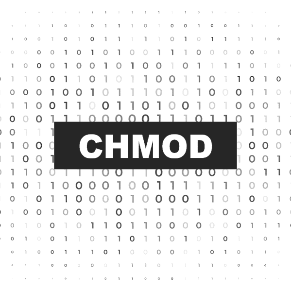 Permisos CHMOD de archivos y carpetas para WordPress