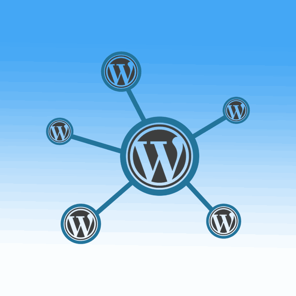 WordPress multisite: Todo lo que debes saber en 2024