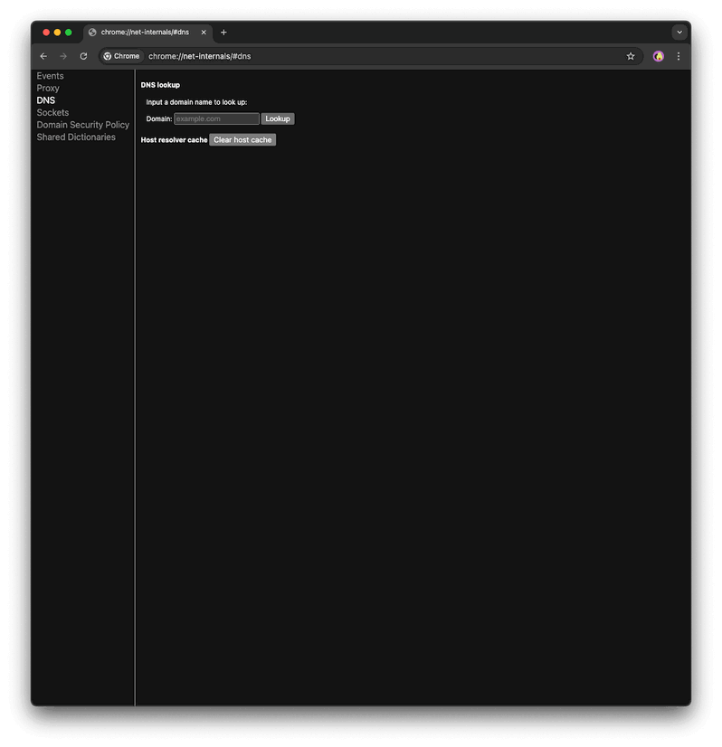 Limpiar caché DNS en Google Chrome Panel DNS de Chrome para borrar la caché
