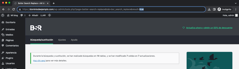 Sustitución en tablas en la base de datos con Better Search Replace