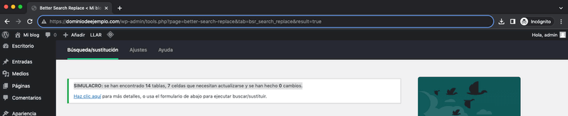 Cambios en la base de datos con Better Search Replace