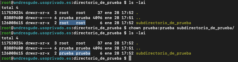 Comando chown de Linux