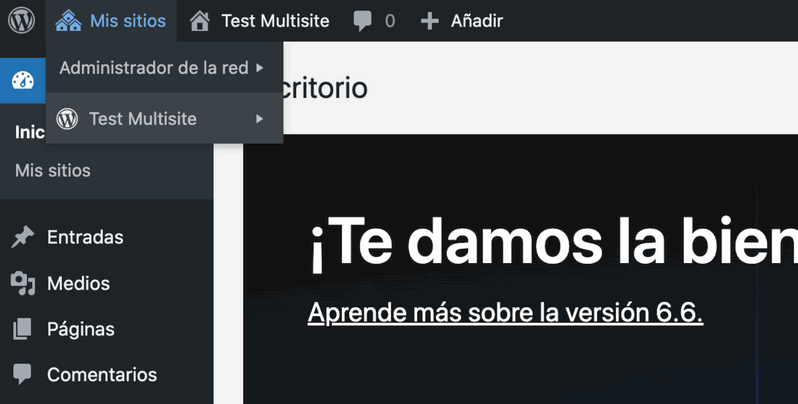 Inicio WP Multisite