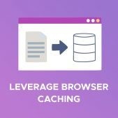 Leverage browser caching: Aprovechar el caché de navegador