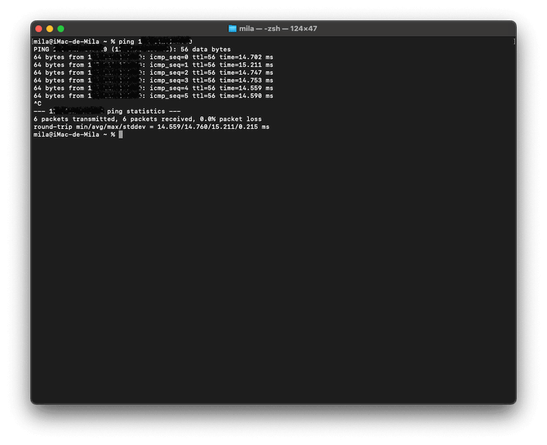 Ping correcto a una dirección IP Resultado correcto del comando ping a una IP
