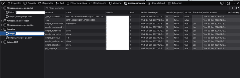 Comprobación de cookies desde el navegador para descartar problemas en el error 520 Panel de almacenamiento del navegador mostrando cookies activas del sitio web
