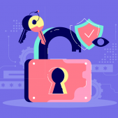 Guía completa sobre HTTPS: Seguridad en tu sitio web