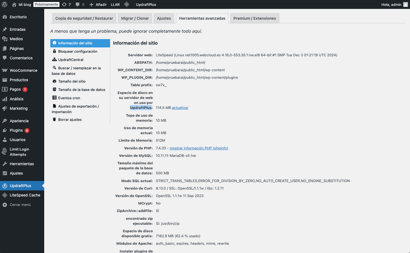 Información del sitio en UpdraftPlus