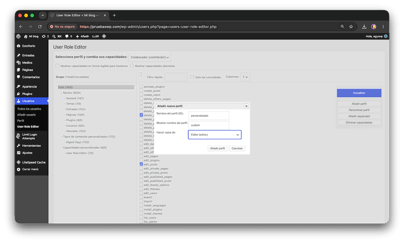 Plugin User Role Editor mostrando las capacidades disponibles para crear un rol personalizado en WordPress